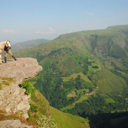 Gite Individuel Au Pays Basque A 1,5Km De St-Jean-Pied-De-Port Saint-Jean-Pied-de-Port Exteriér fotografie
