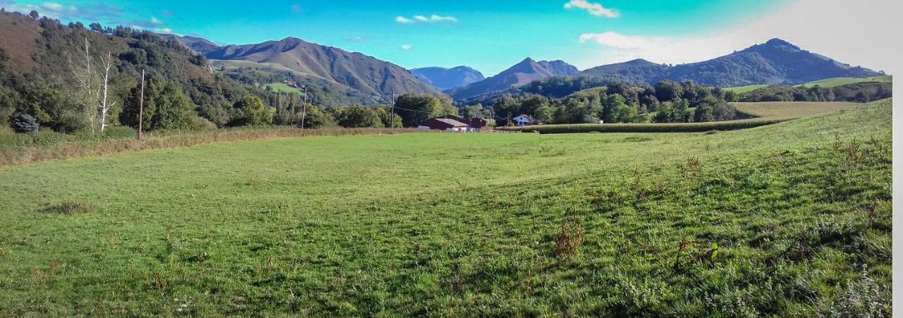 Gite Individuel Au Pays Basque A 1,5Km De St-Jean-Pied-De-Port Saint-Jean-Pied-de-Port Exteriér fotografie
