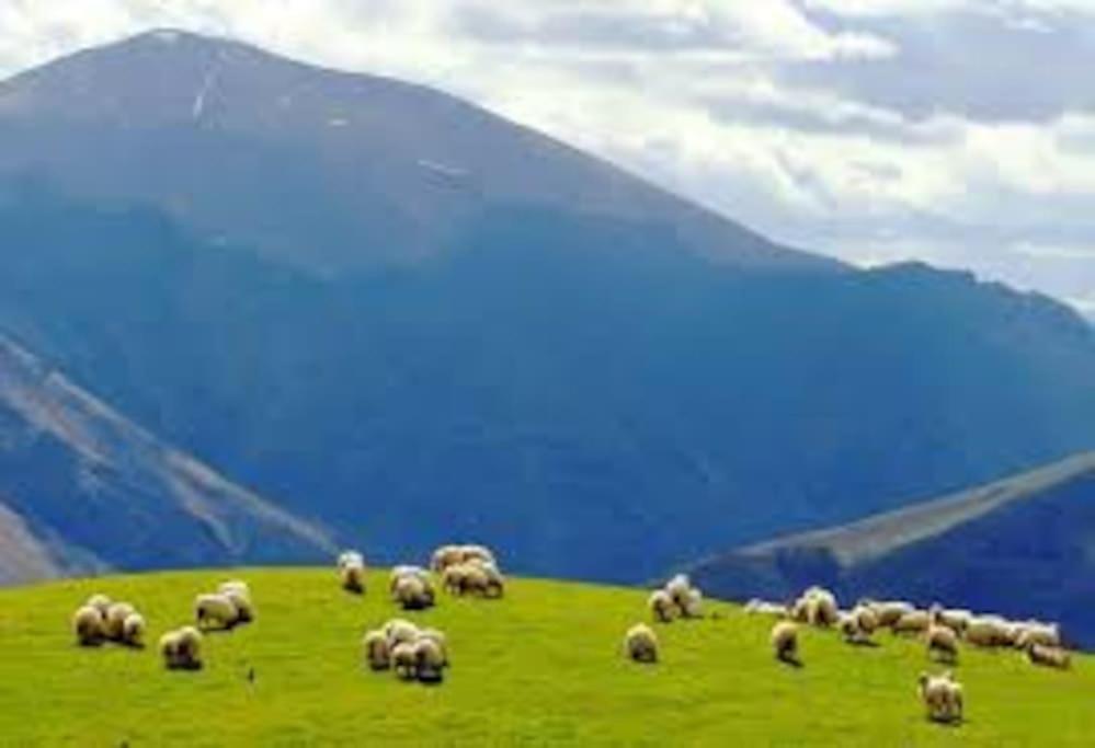 Gite Individuel Au Pays Basque A 1,5Km De St-Jean-Pied-De-Port Saint-Jean-Pied-de-Port Exteriér fotografie